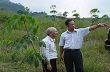 Cao su Nam Giang – Quảng Nam: Khai thác 2.550 ha cao su trong 5 năm tới